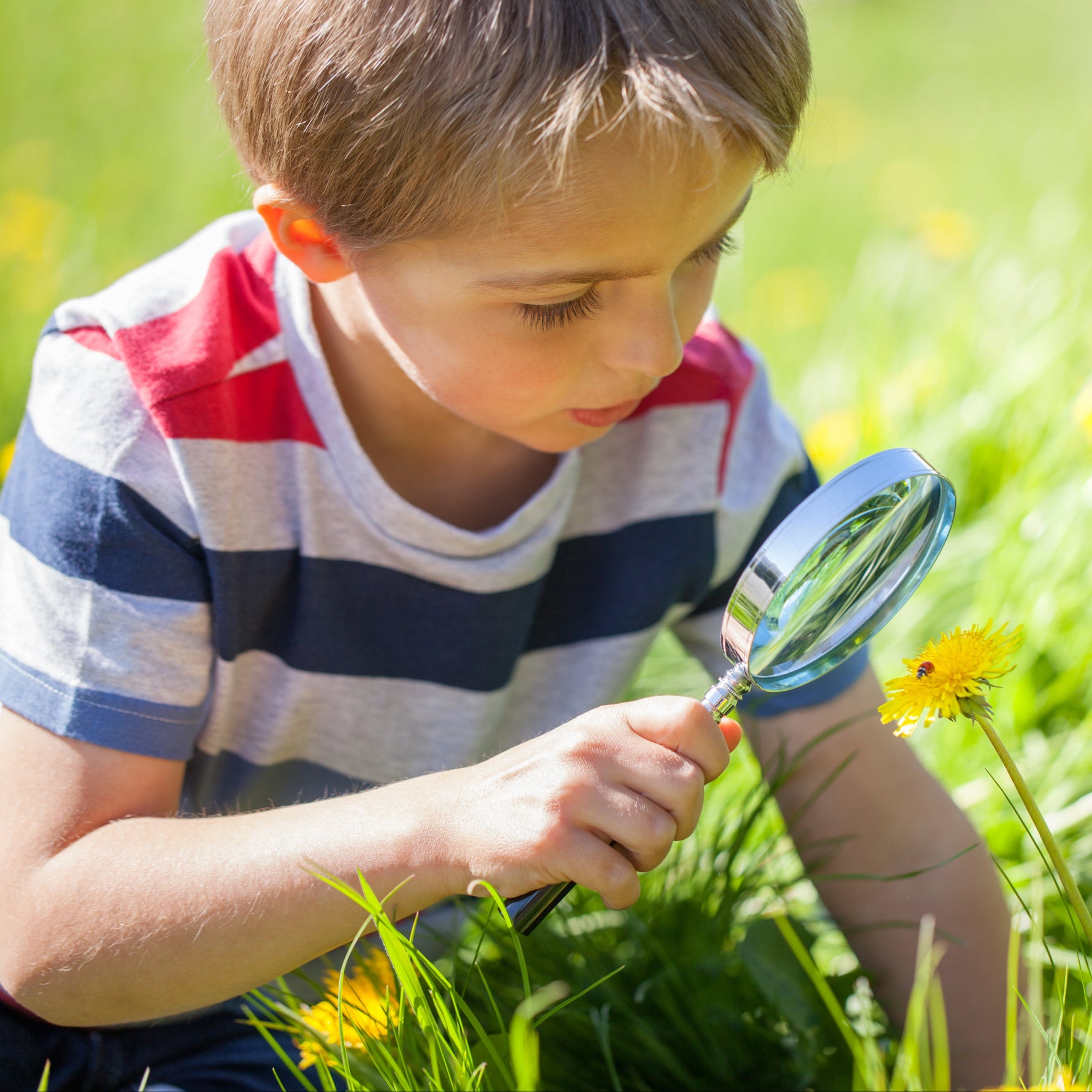 Child with a magnifying glass exploring nature in a grassy field with flowers.
