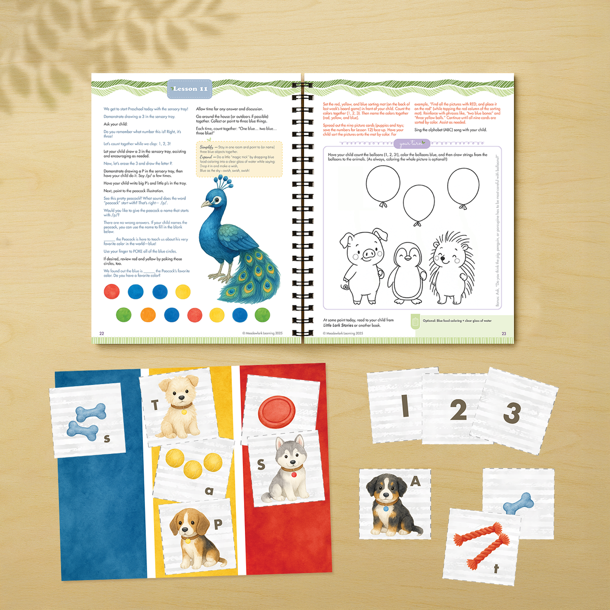 Open educational book with illustrations and flashcards on a beige background