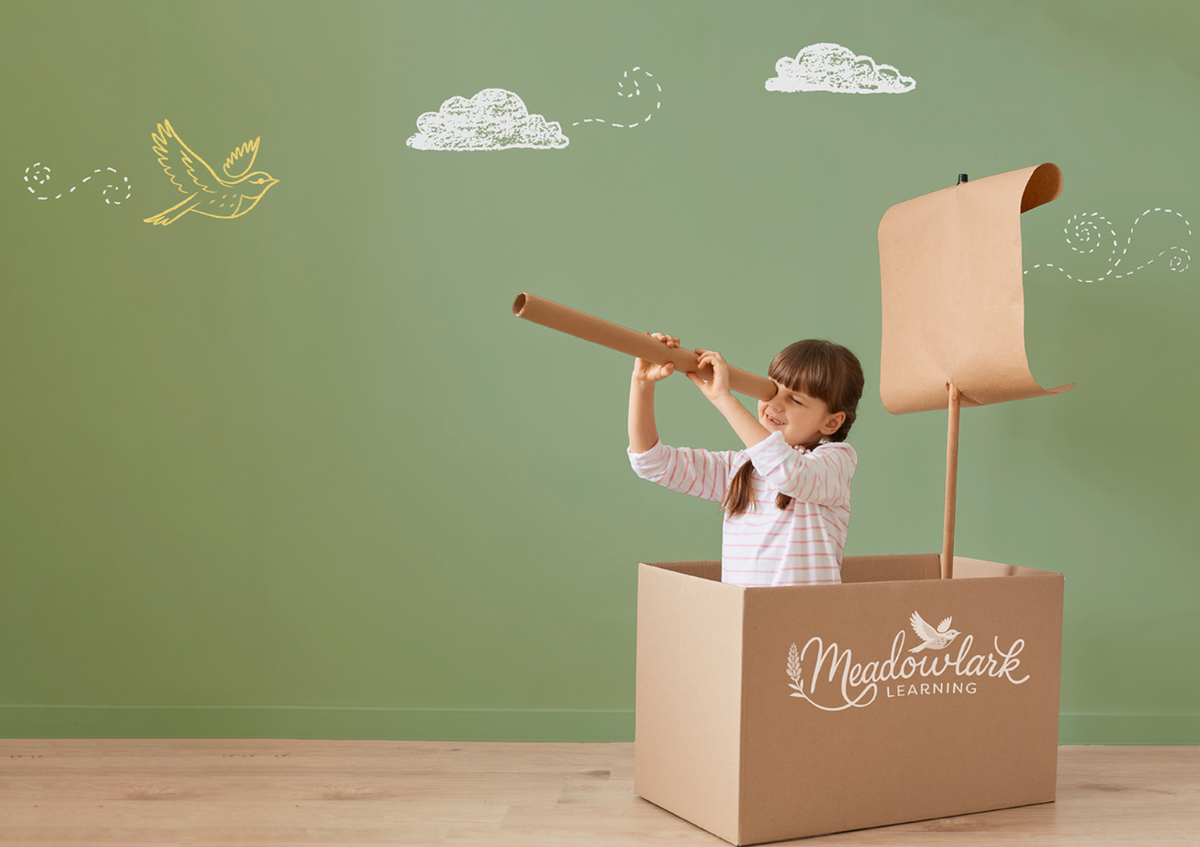 Child playing with a cardboard airplane inside a box labeled 'Meadowlark Learning' against a green wall with drawings of a bird and clouds.