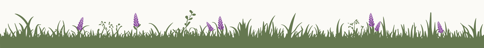 Silhouettes of grass and flowers on a green background